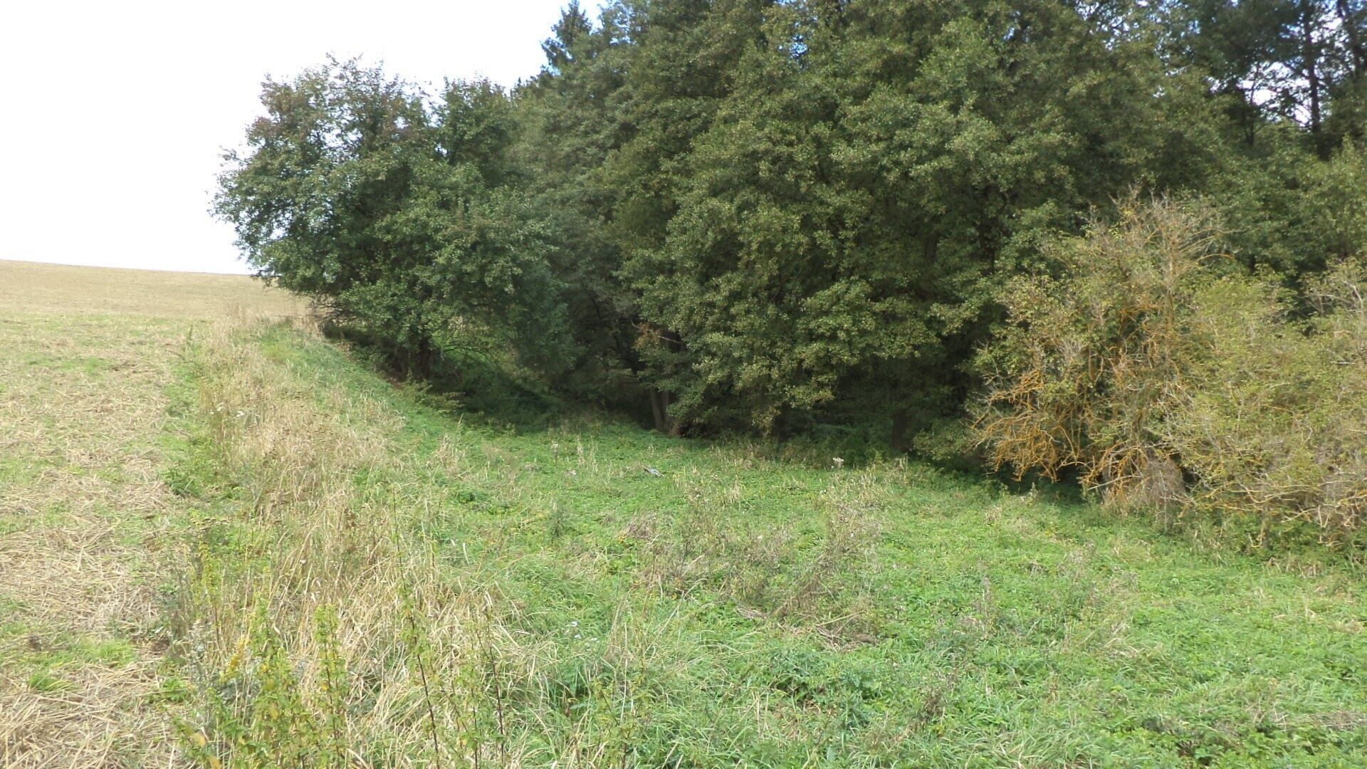 Zemědělské pozemky, Tachov, 58 887 m² - 2