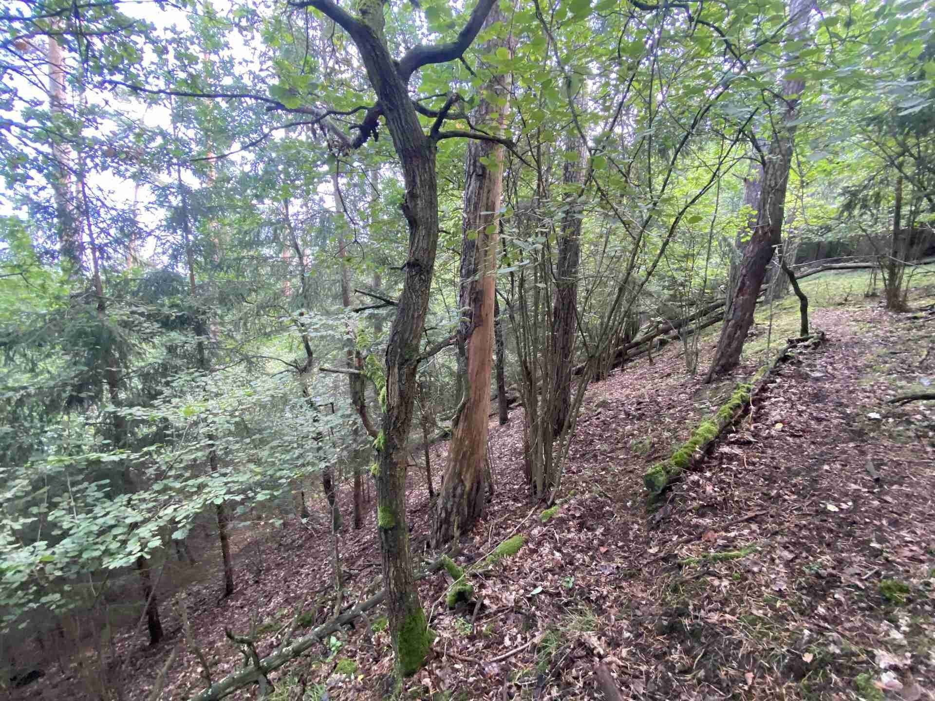 Pozemek · 3 382 m² · Křečovice Nahoruby - 3
