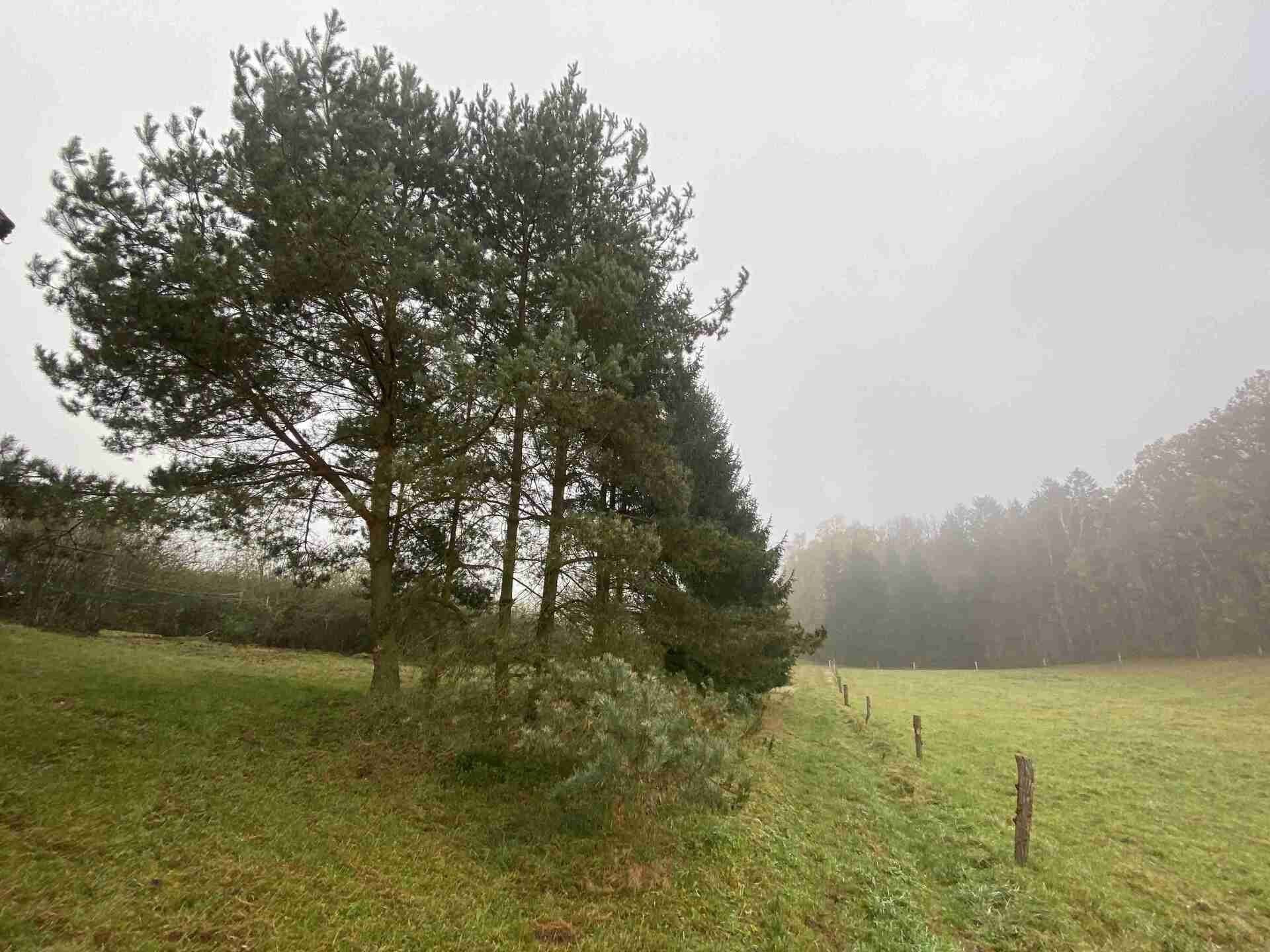 Pozemek · 566 m² · Černousy - 3