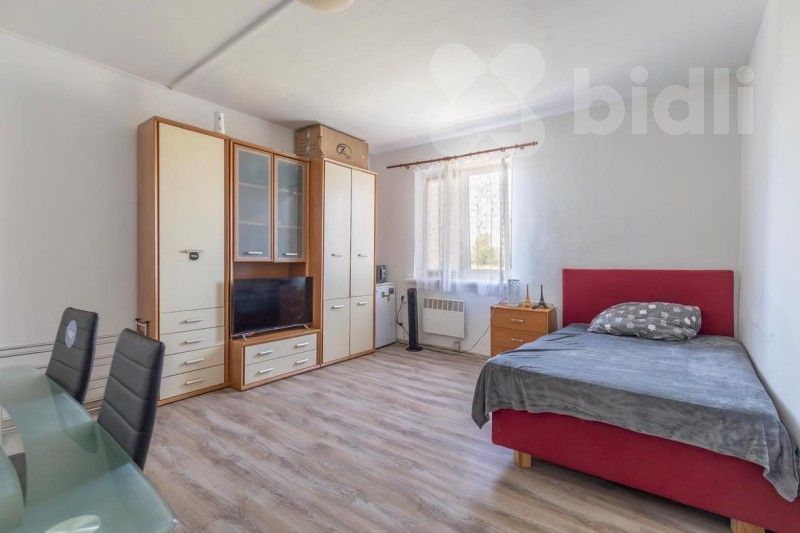 Pronájem byt 1+kk - Dluhonská, Přerov, 18 m²