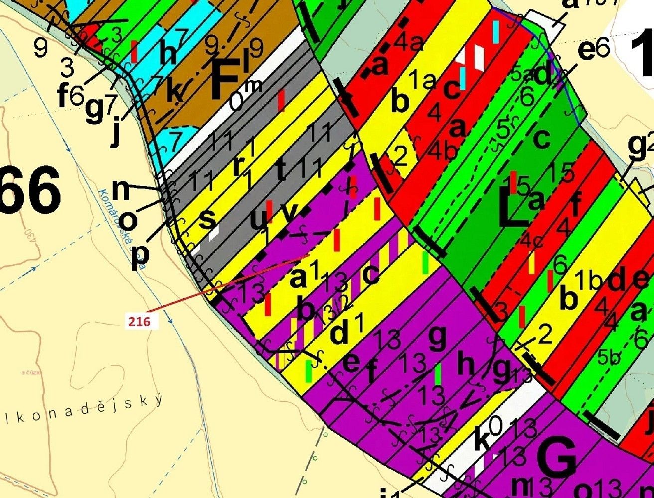Les · Komárov, okres Tábor, Jihočeský kraj - 3