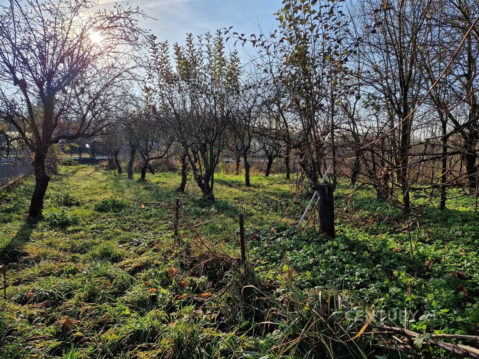 Prodej pozemek pro bydlení - Čebín