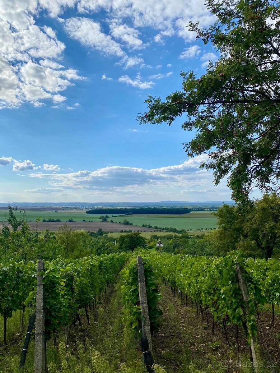 Prodej pozemek pro bydlení - Strážnice, 696 62