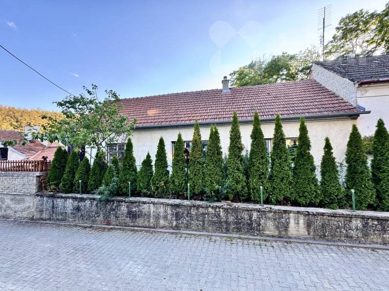 Rodinné domy, Polní 430, Dolní Kounice, 100 m²