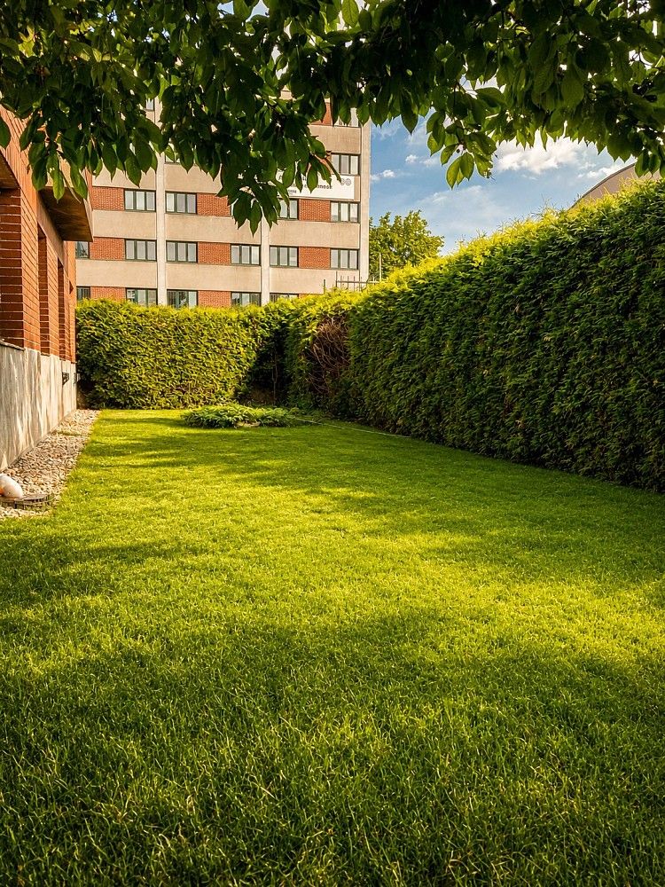Prodej byt 4+1 - Drahoňovského, Hradec Králové - Pražské Předměstí, 123 m² - 5
