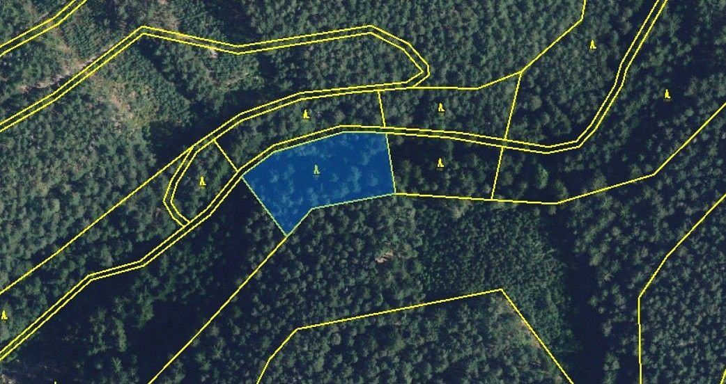 Prodej les - Proseč, okres Chrudim, Pardubický kraj - 2