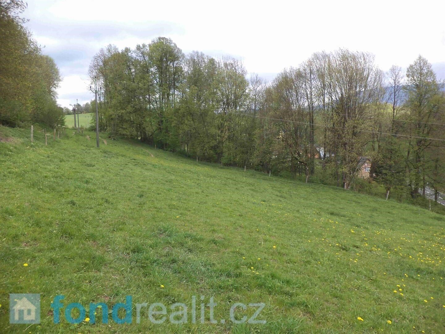 Pozemek · 12 271 m² · Rudník - 3