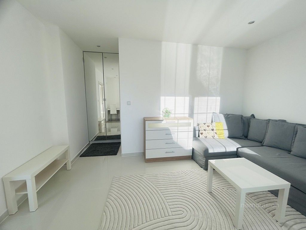 Byt 1+1 · 40 m² · Veselí nad Moravou, okres Hodonín, Jihomoravský kraj - 4