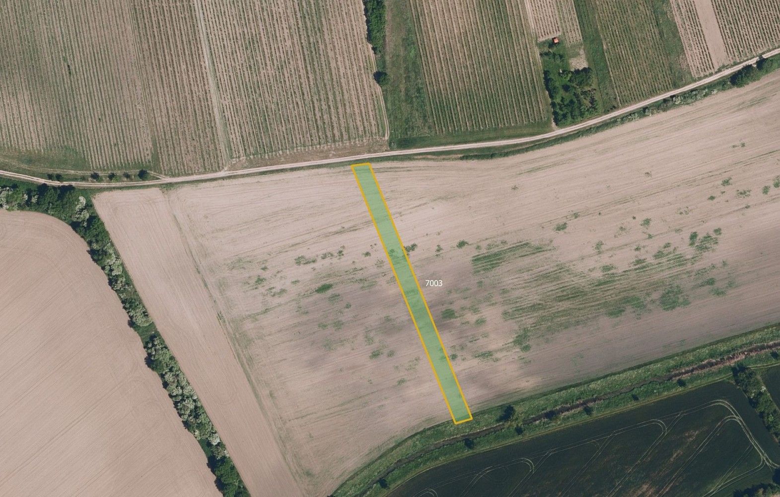 Zemědělské pozemky, Kobylí, okres Břeclav, Jihomoravský kraj - 2