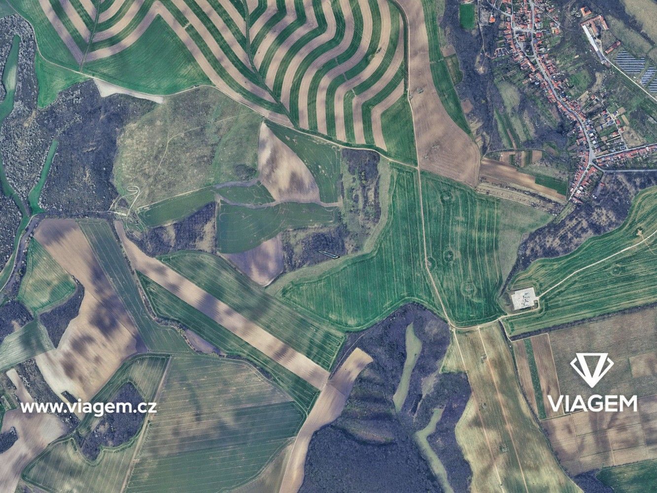 Prodej zemědělský pozemek - Bošovice, okres Vyškov, Jihomoravský kraj - 5
