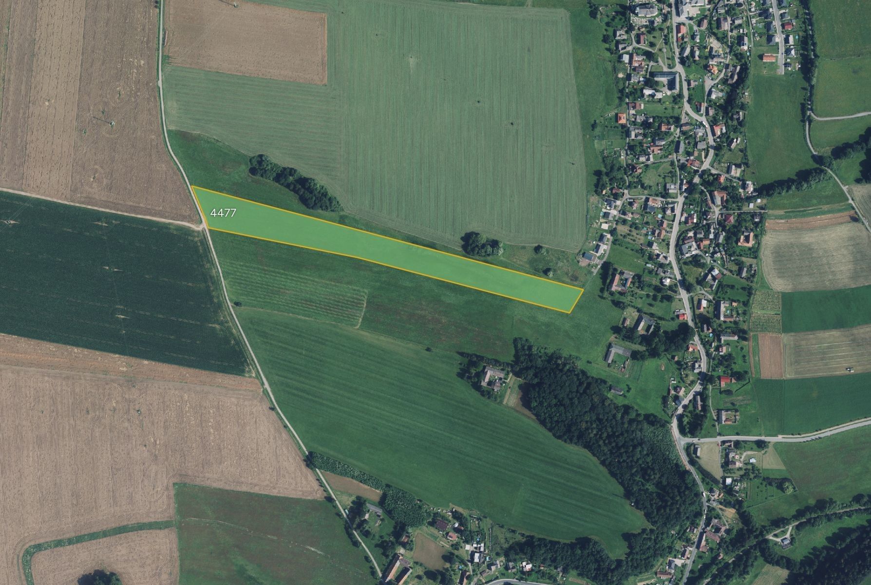 Louky, Tatenice - 1