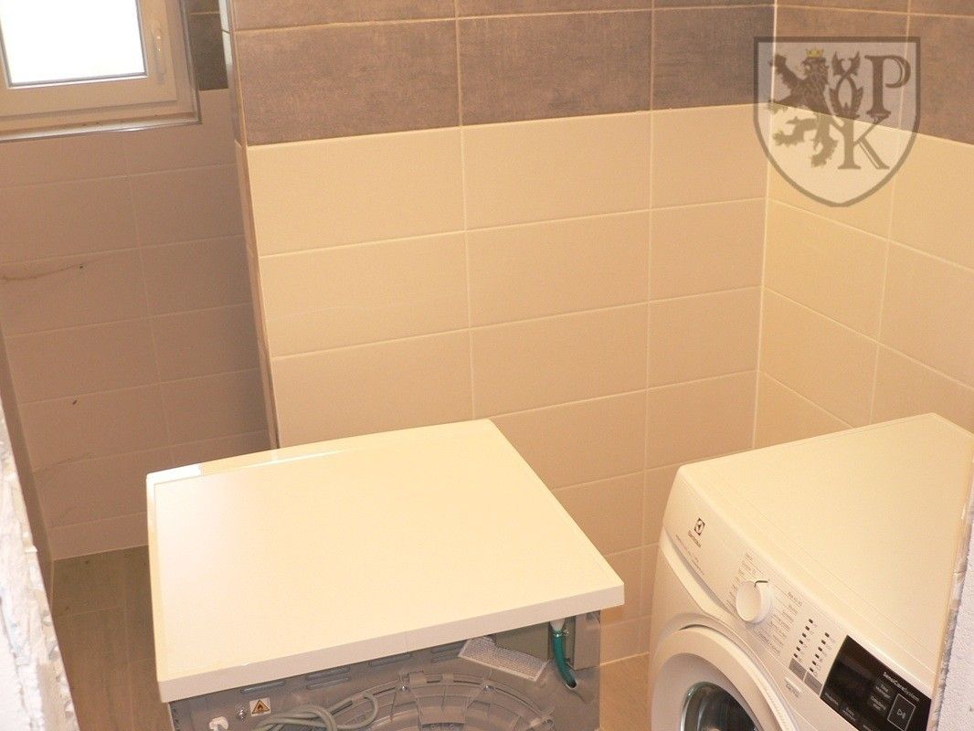 Prodej chalupa - Mladý Smolivec Dožice, 375 m² - 5