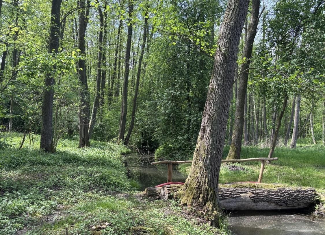 Prodej rybník - Pardubice VI, Pardubice, 21 421 m² - 5
