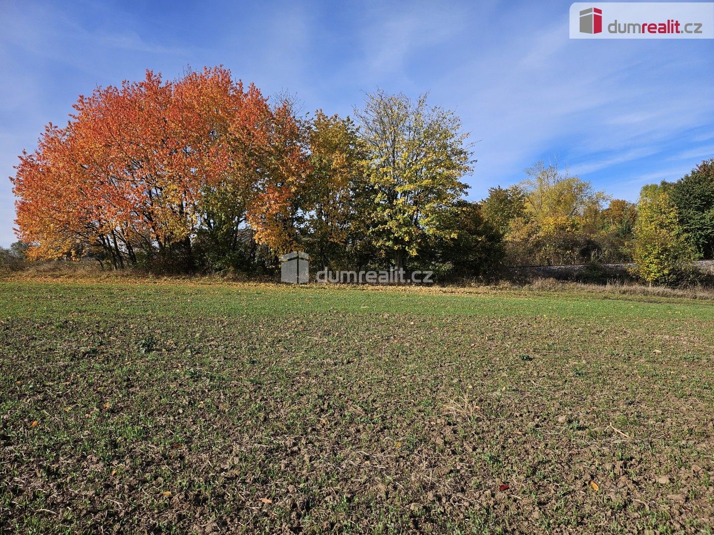 Zemědělské pozemky, Trnobrany, Liběšice, 3 121 m²