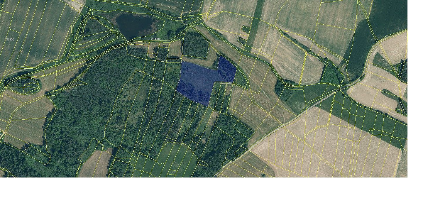 Les · Malý Bor, okres Klatovy, Plzeňský kraj - 3