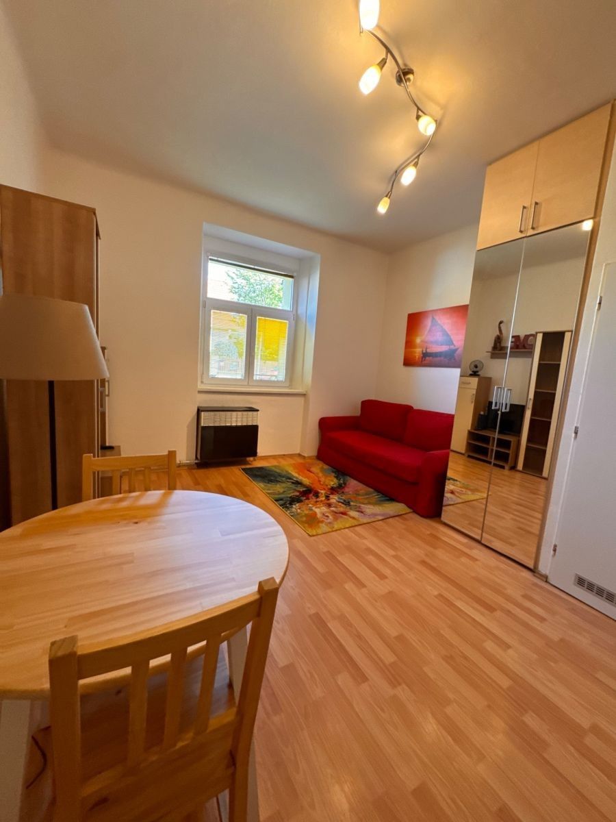 1+kk, V Domově, Praha - Žižkov, 30 m² - 1