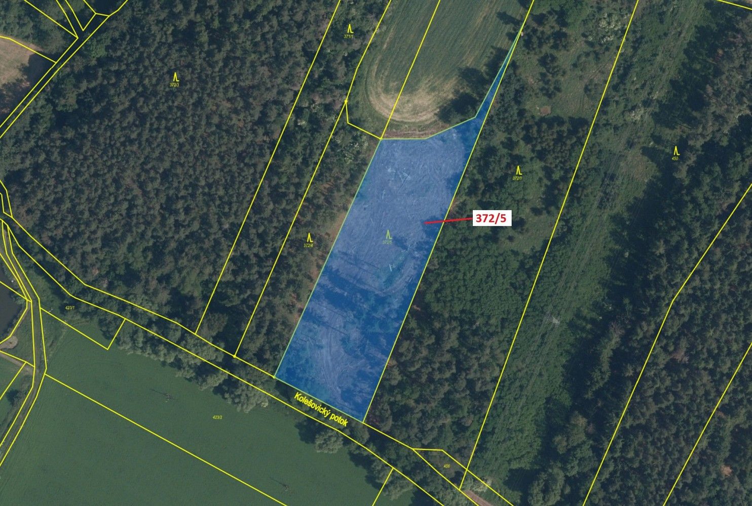 Prodej les - Senomaty, okres Rakovník, Středočeský kraj - 2