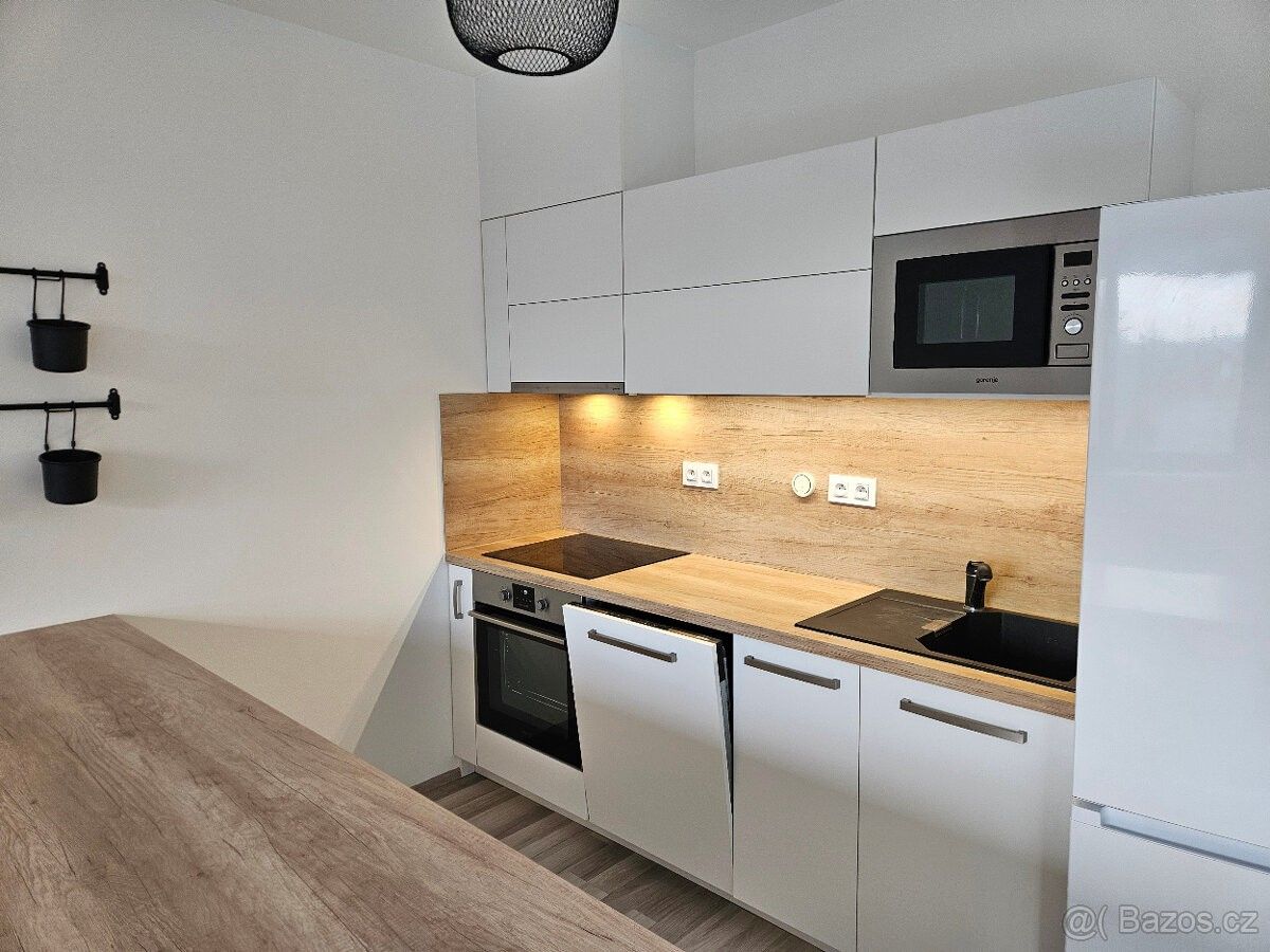 other Apartment in Bučovice, Vícemilice