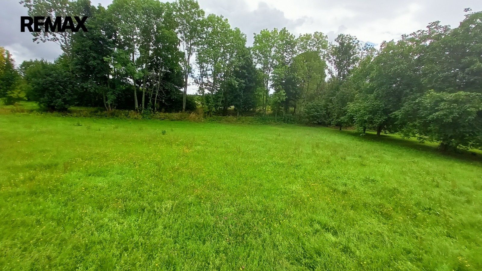 Pozemky pro bydlení, Borotín, 1 913 m² - 2