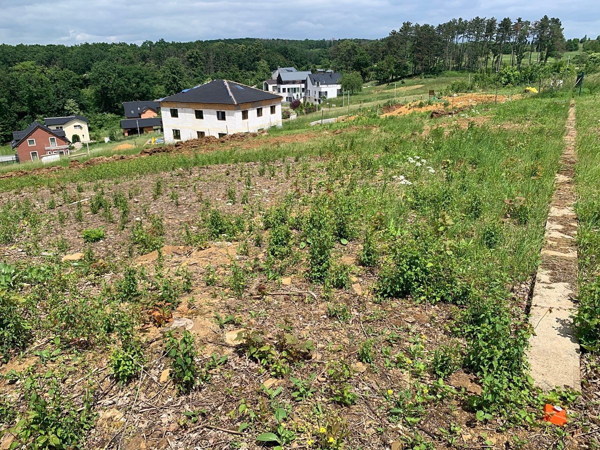 Pozemek pro bydlení · Ve Višňovce, Vysoký Újezd - Vysoký Újezd u Berouna, Středočeský kraj - 4