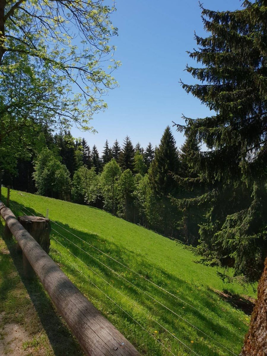 Chata · Benecko - Mrklov, Liberecký kraj - 3