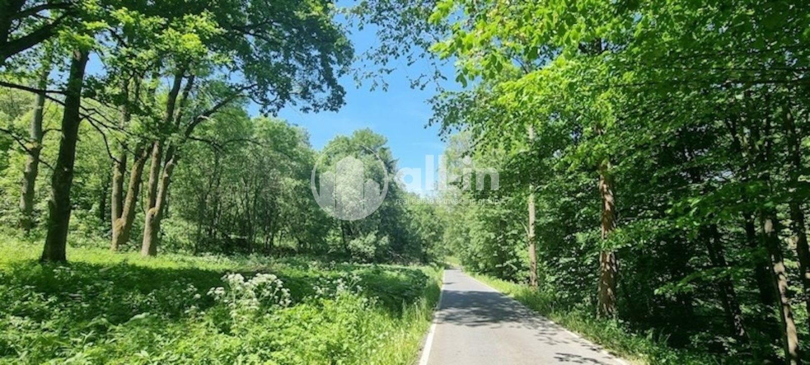 Prodej pozemek pro bydlení - Vysoký Potok, Malá Morava, 1 411 m²