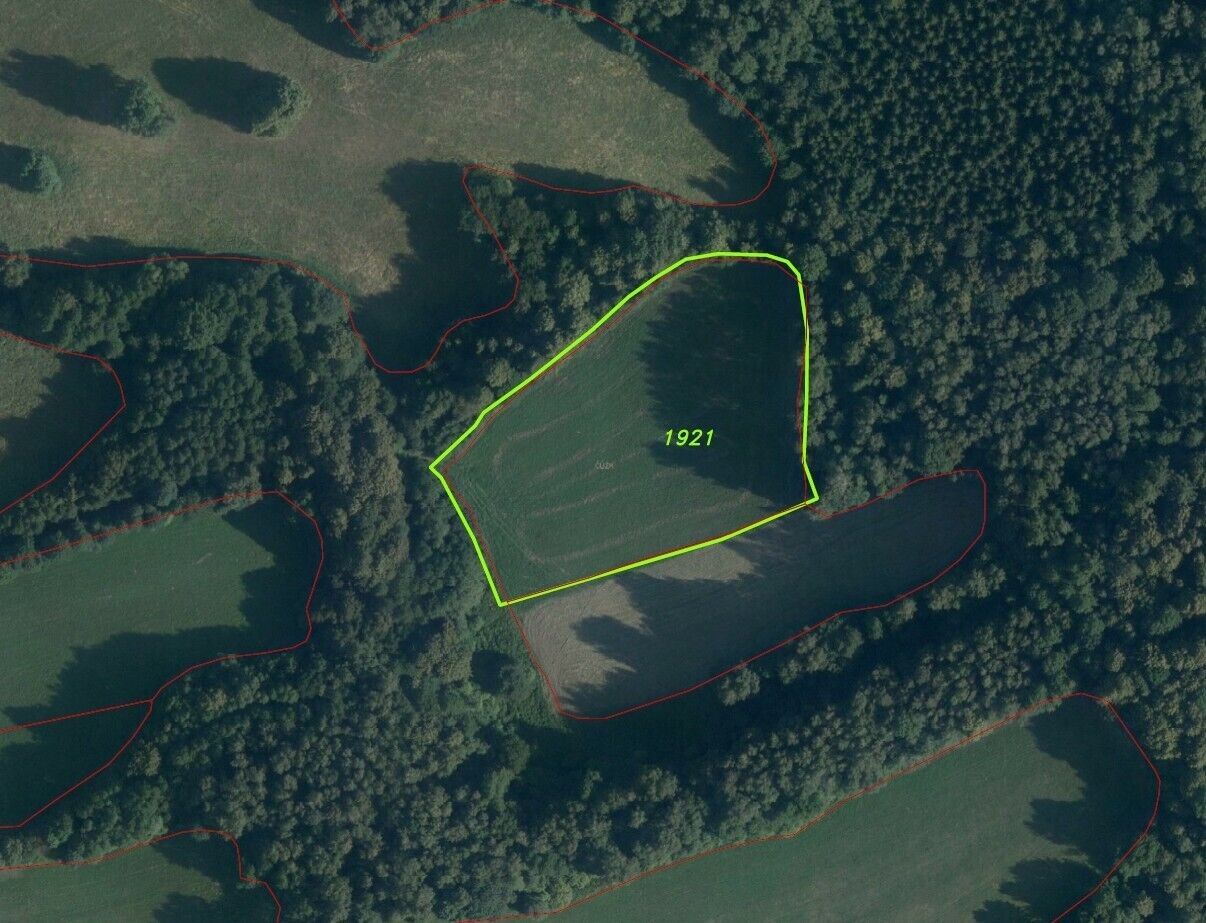 Prodej pozemek - Sobotín, 10 593 m² - 5