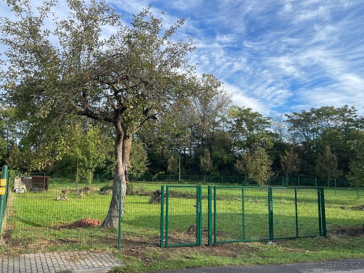 Pronájem zahrada - Ostrava, 721 00