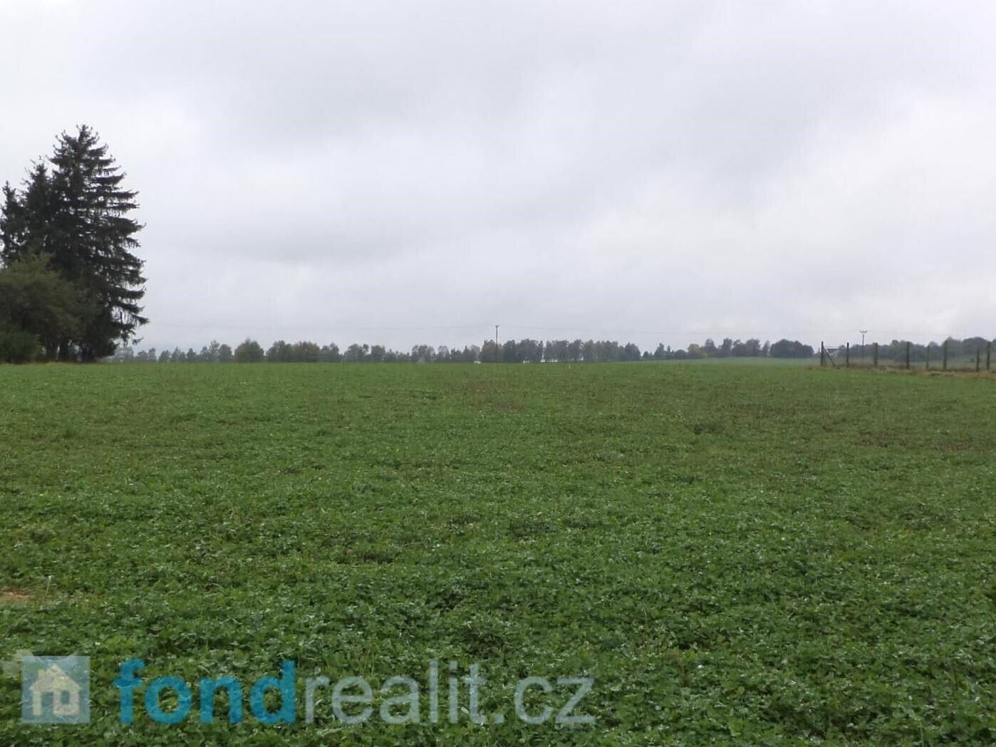 Pozemek · 497 m² · Ločenice - 3