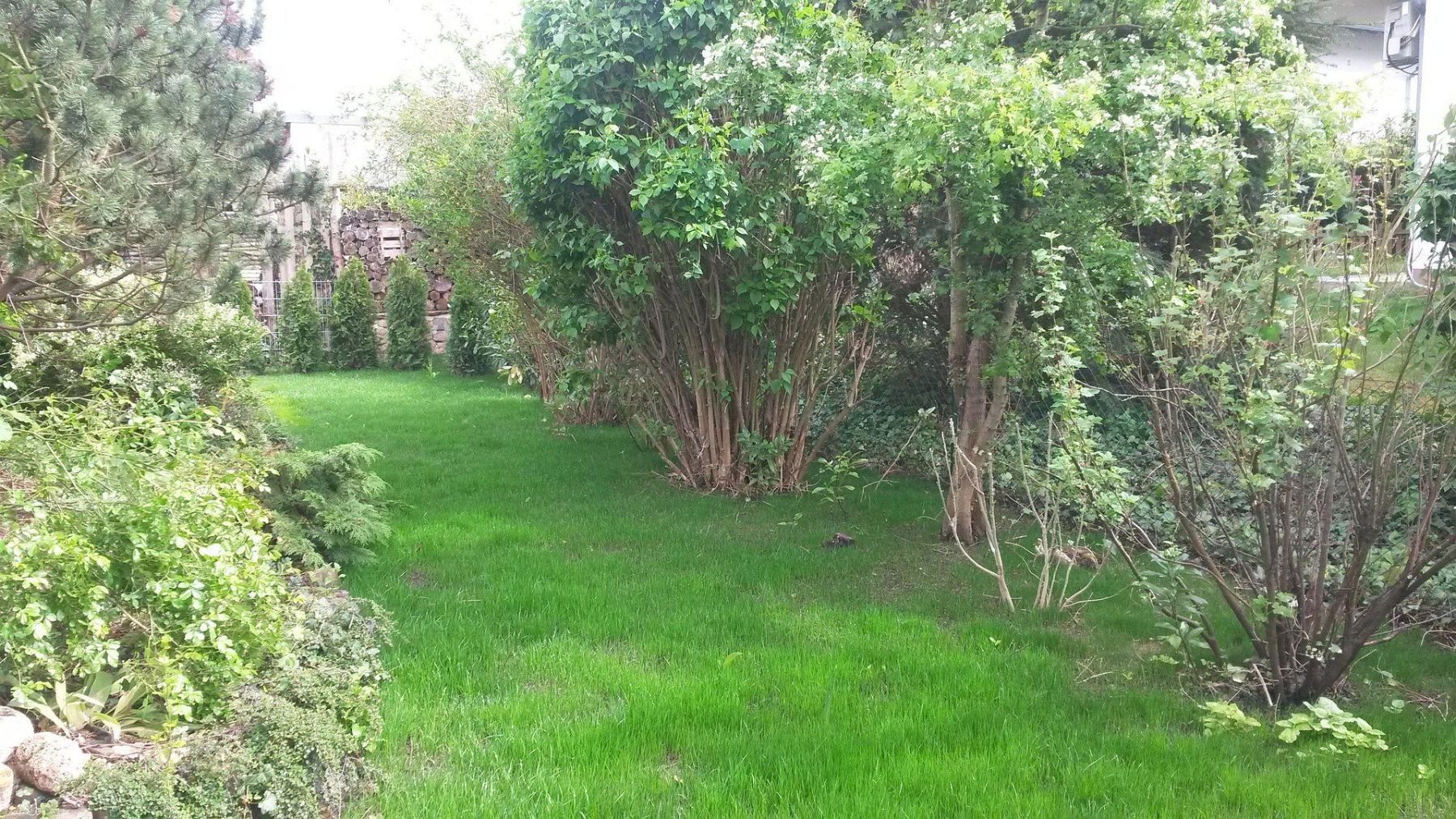 Prodej rodinný dům - , Hessen, 145 m² - 5