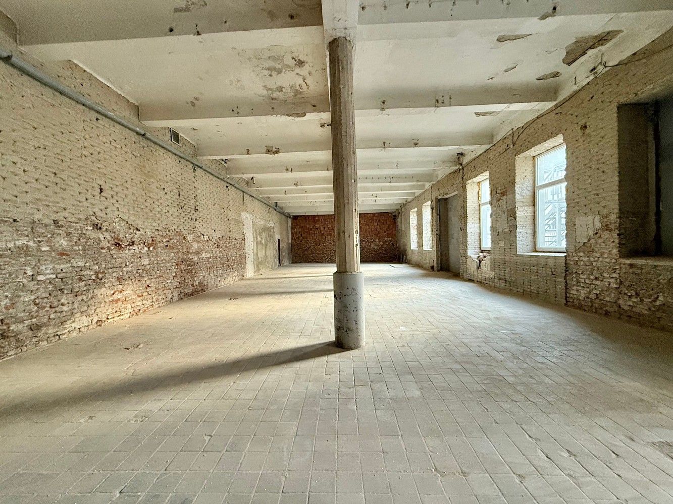 Obchodní prostory · 1 500 m² · Brno - Staré Brno, okres Brno-město, Jihomoravský kraj - 3