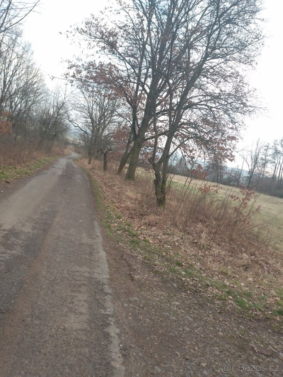 Prodej pozemek pro bydlení - Třebenice, 411 13 - 5