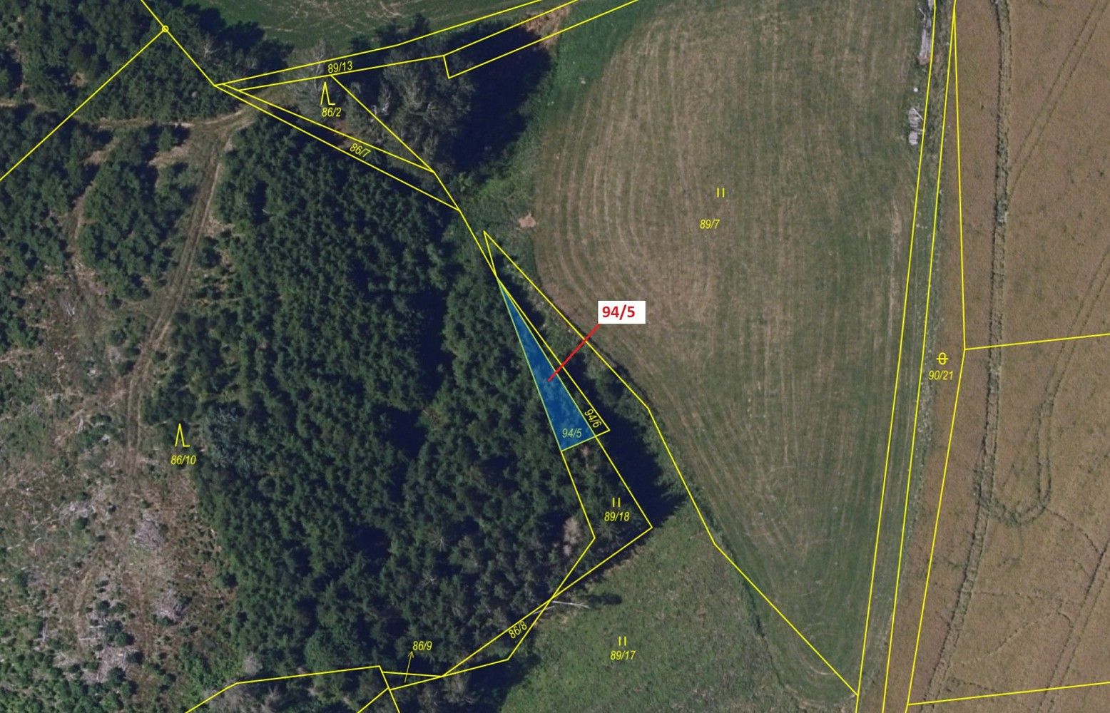 Lesy, Žižkovo Pole, okres Havlíčkův Brod, Kraj Vysočina - 2