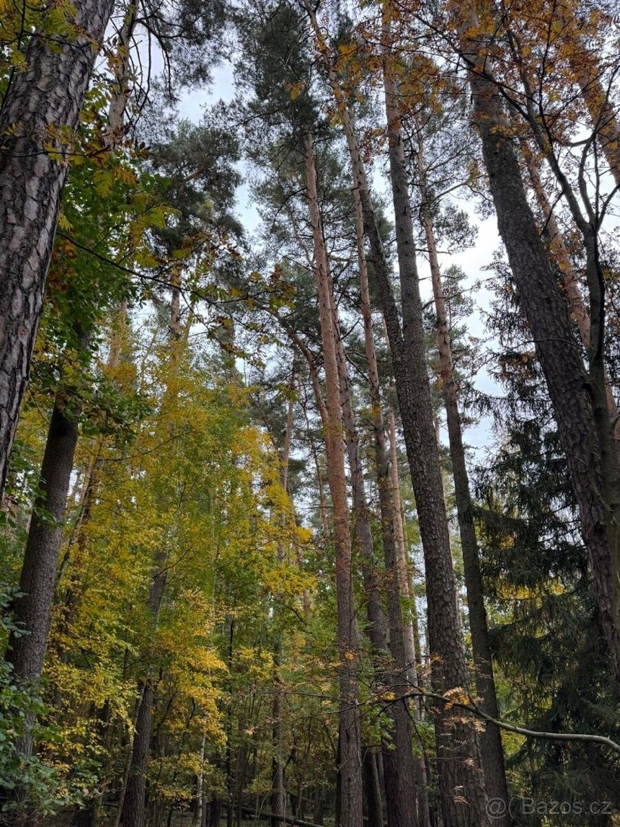 Pozemek pro bydlení · Horšovský Týn, 346 01 - 4