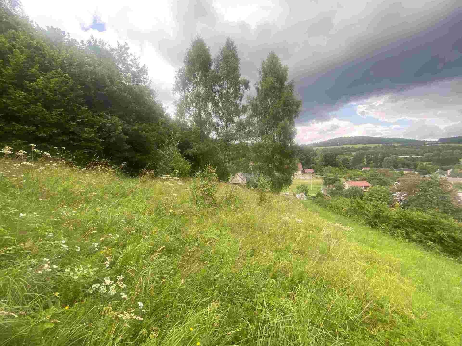 Prodej pozemek pro bydlení - Mladkov, 1 m²