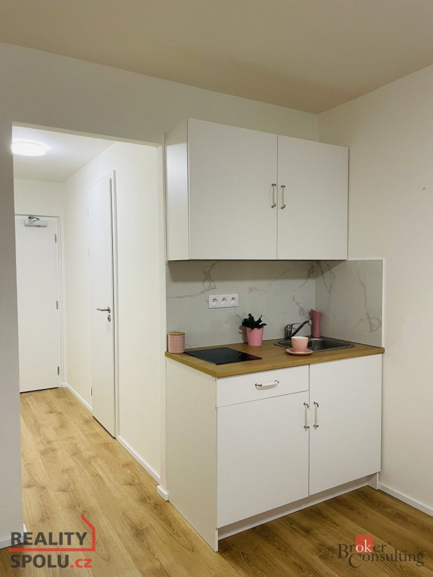 1+kk, Čenětická, Praha, 24 m²