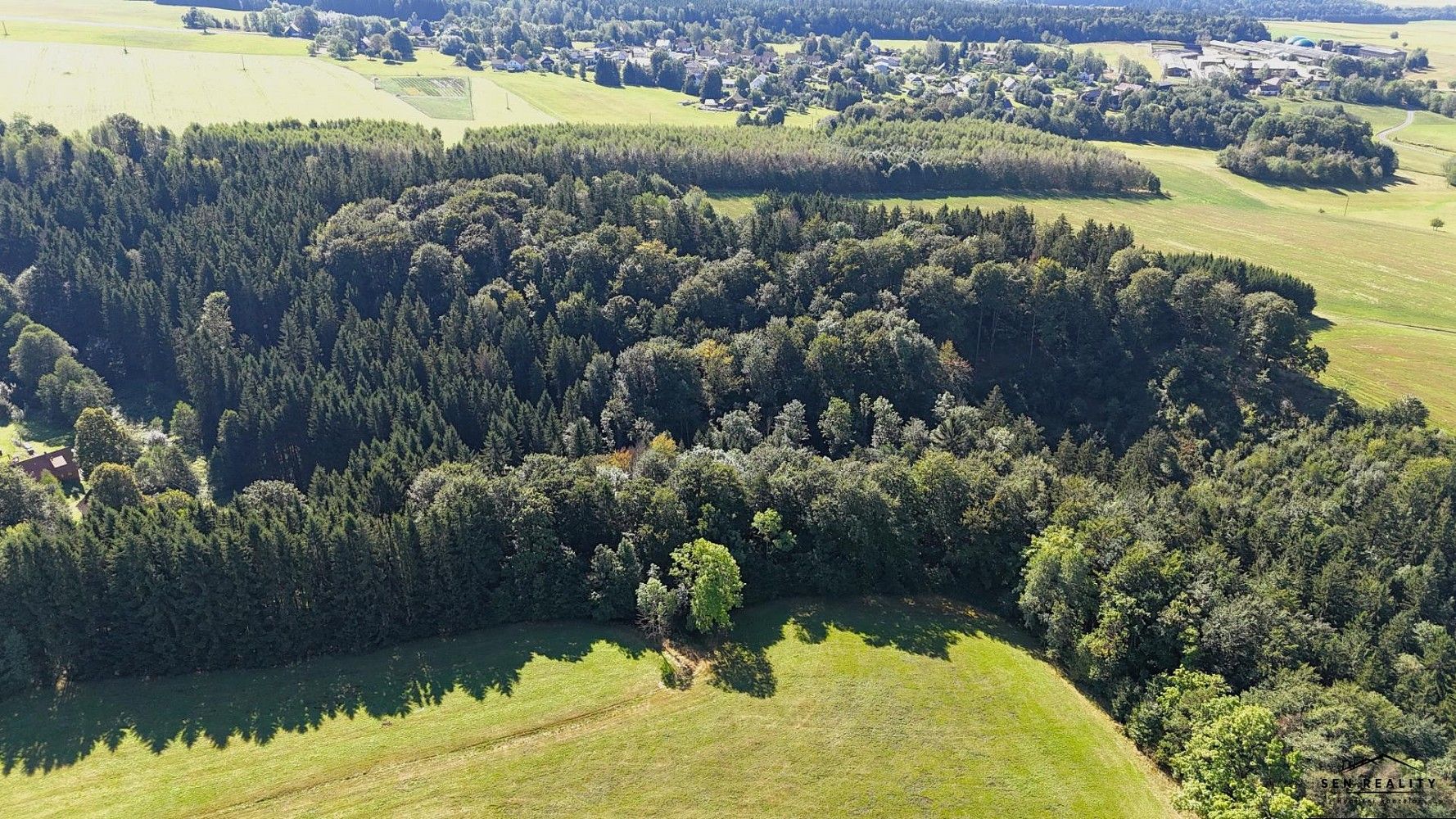 Les · Liberk, okres Rychnov nad Kněžnou - 4