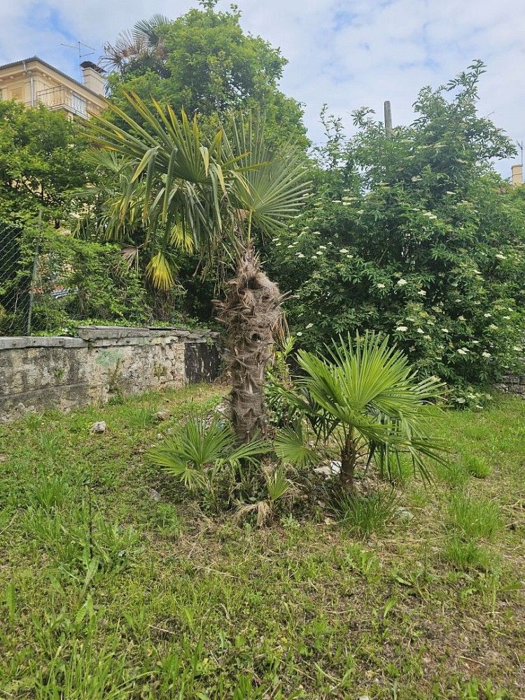 Byt · 29 m² · Opatija, Primorsko-goranska županija, Chorvatsko - 3
