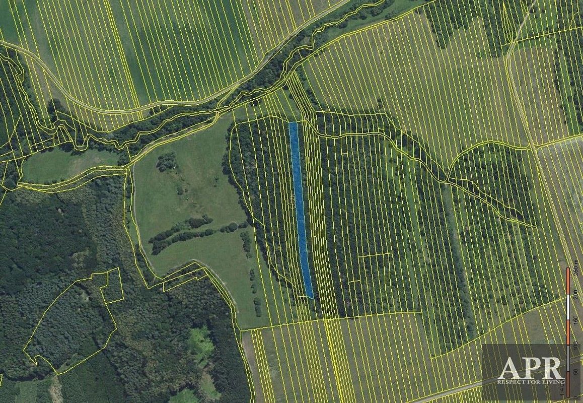 Les · Hradčovice, okres Uherské Hradiště, Zlínský kraj - 3