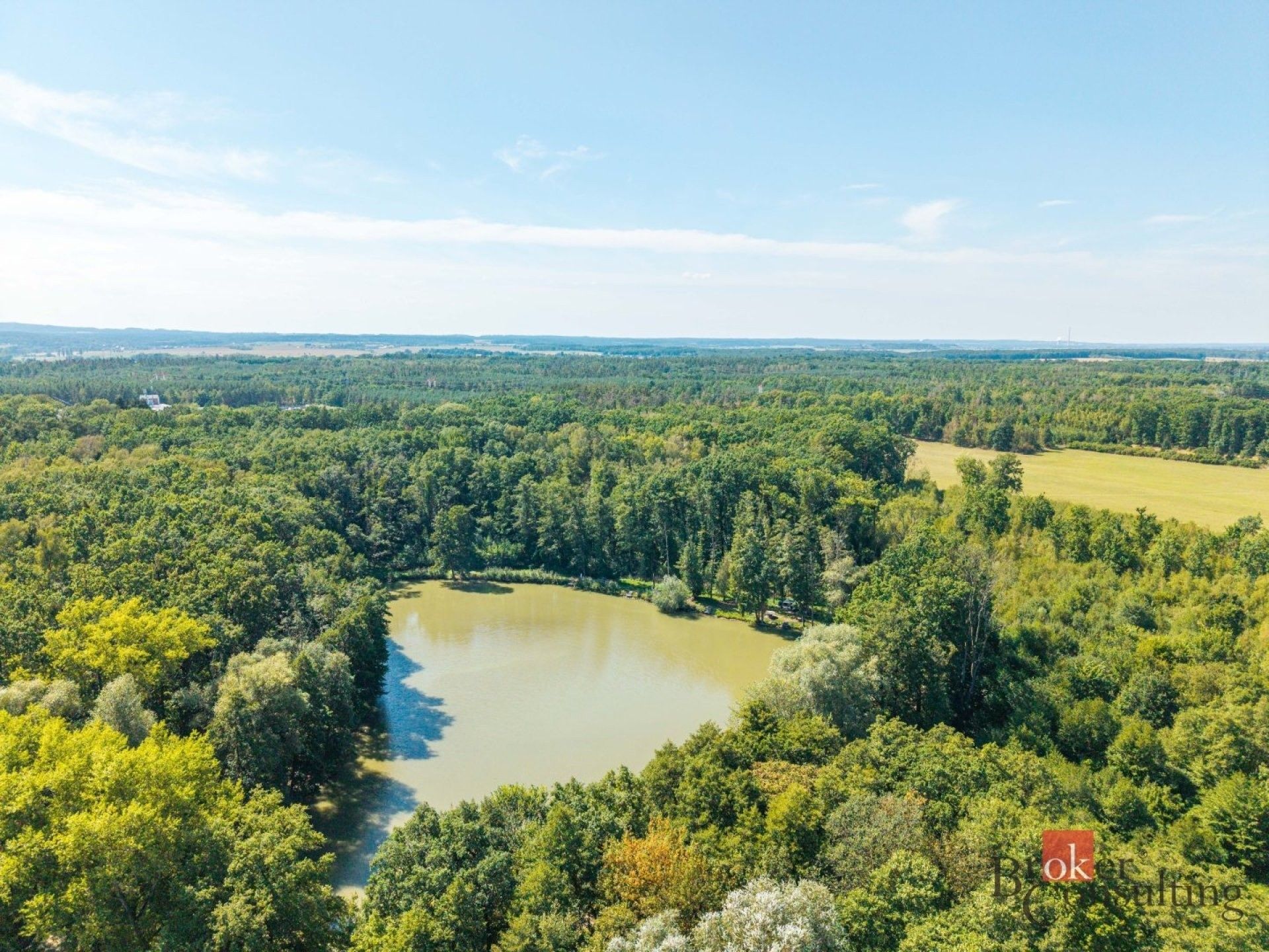 Les · 37 347 m² · Pardubice-Staré Město, Pardubice - 3