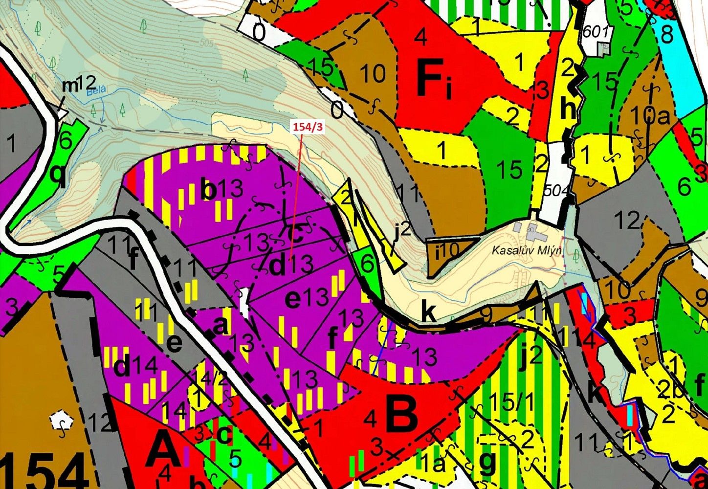 Les · Česká Bělá, okres Havlíčkův Brod, Kraj Vysočina - 3