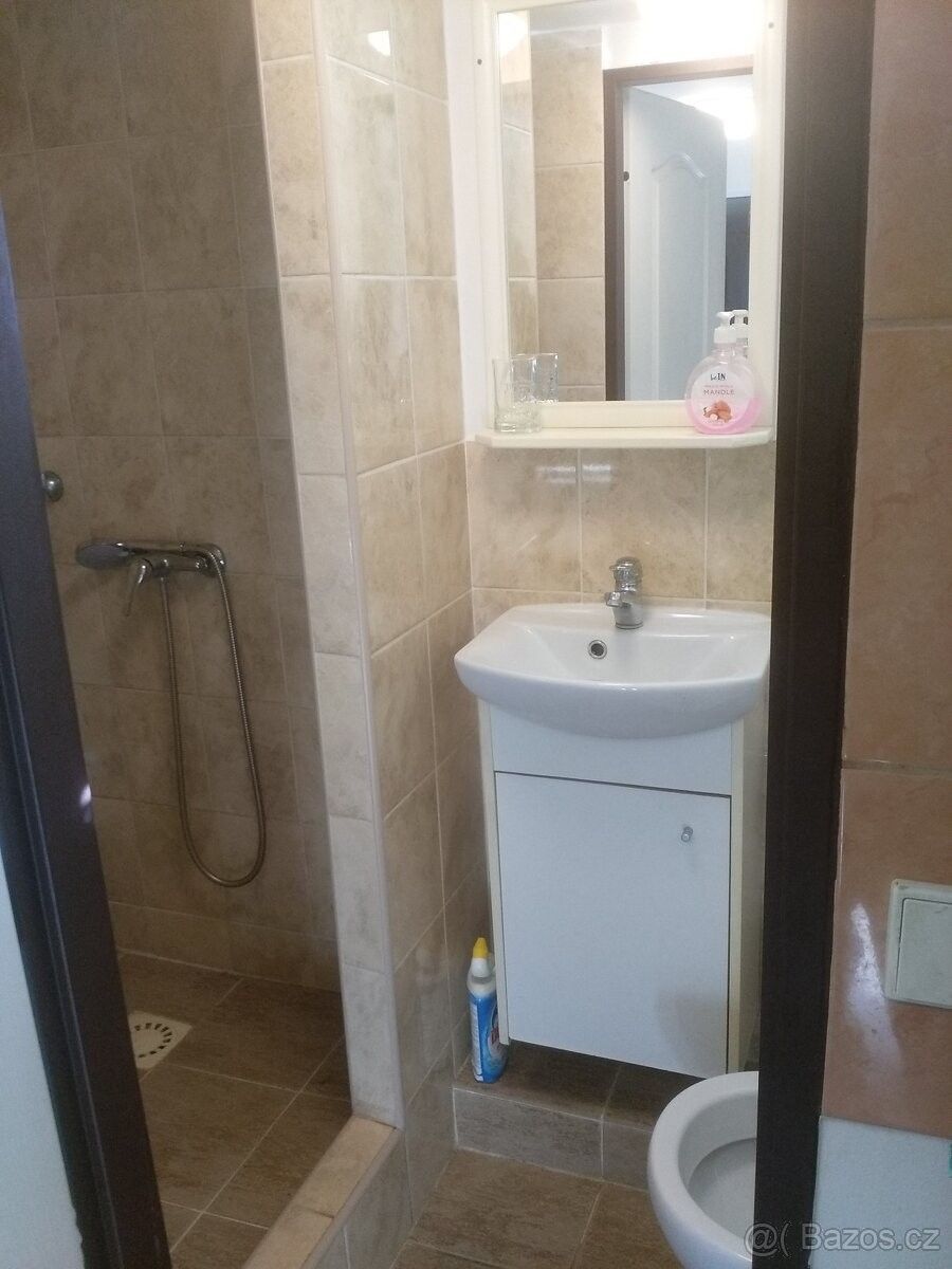 Pronájem byt - Dolní Břežany, 252 41