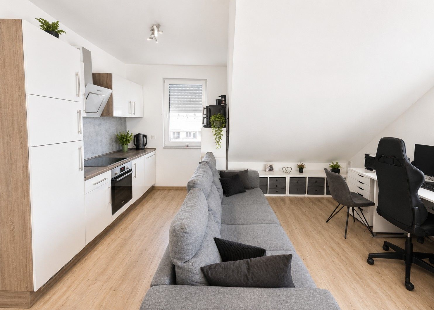 2+1, Münsterstr. 47, , Severní Porýní-Vestfálsko, 46 m² - 1