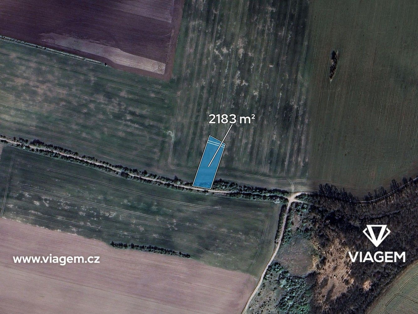 Zemědělské pozemky, Jeviněves, okres Mělník, Středočeský kraj - 2