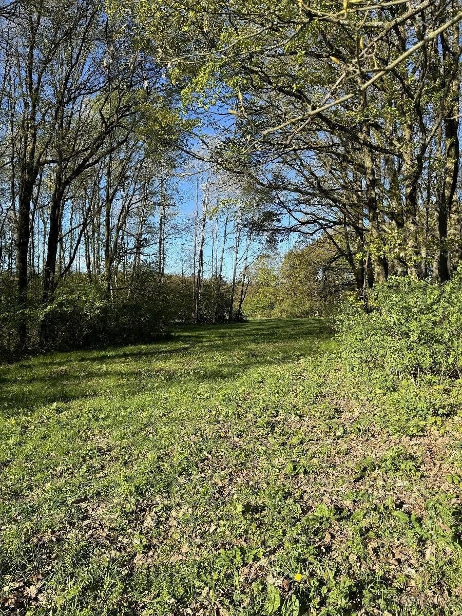 Prodej pozemek pro bydlení - Nové Mitrovice, 335 63