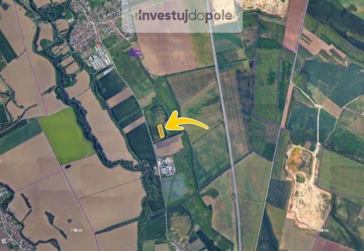 Prodej zemědělský pozemek - Medlov, 6 139 m²