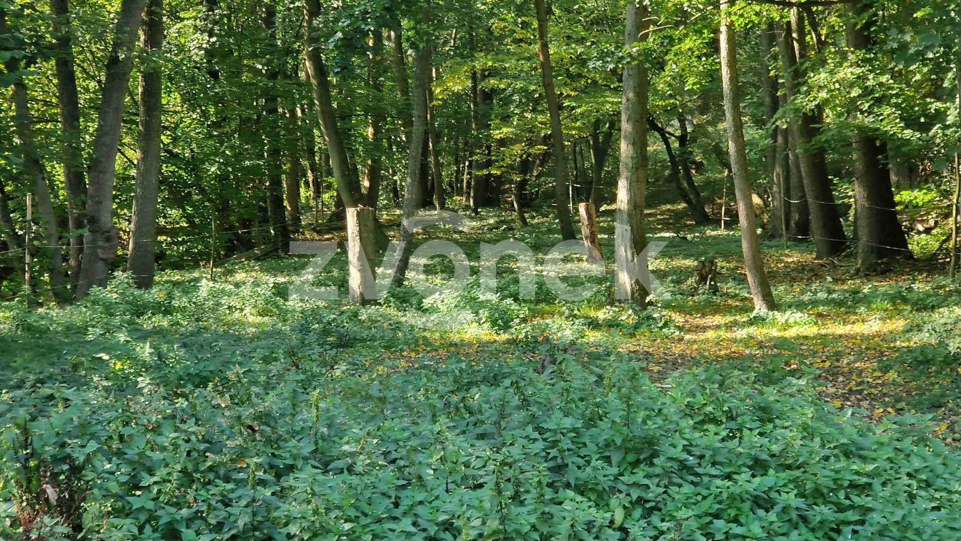 Prodej pozemek - Halenkovice - 5