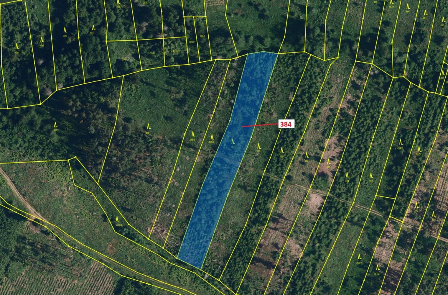 Prodej les - Lomy, okres Třebíč, Kraj Vysočina - 2