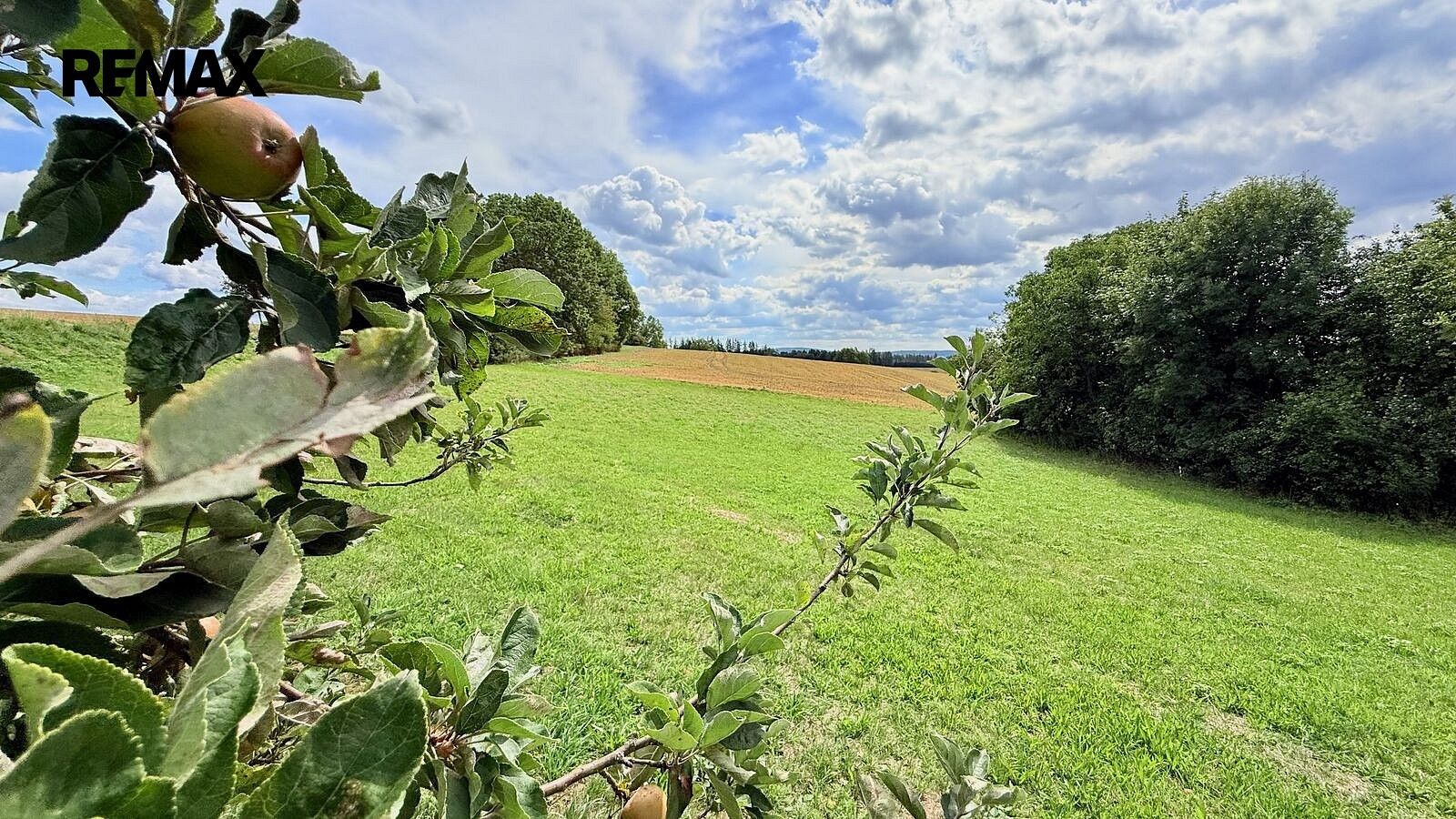 Pozemek pro bydlení, 2 585 m²