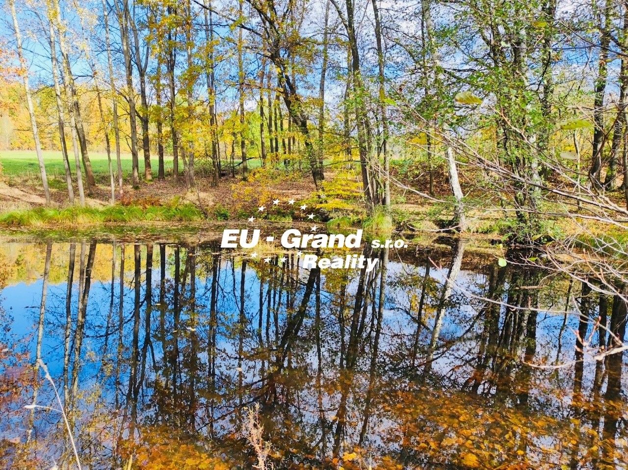 Prodej ostatní - Velký Šenov